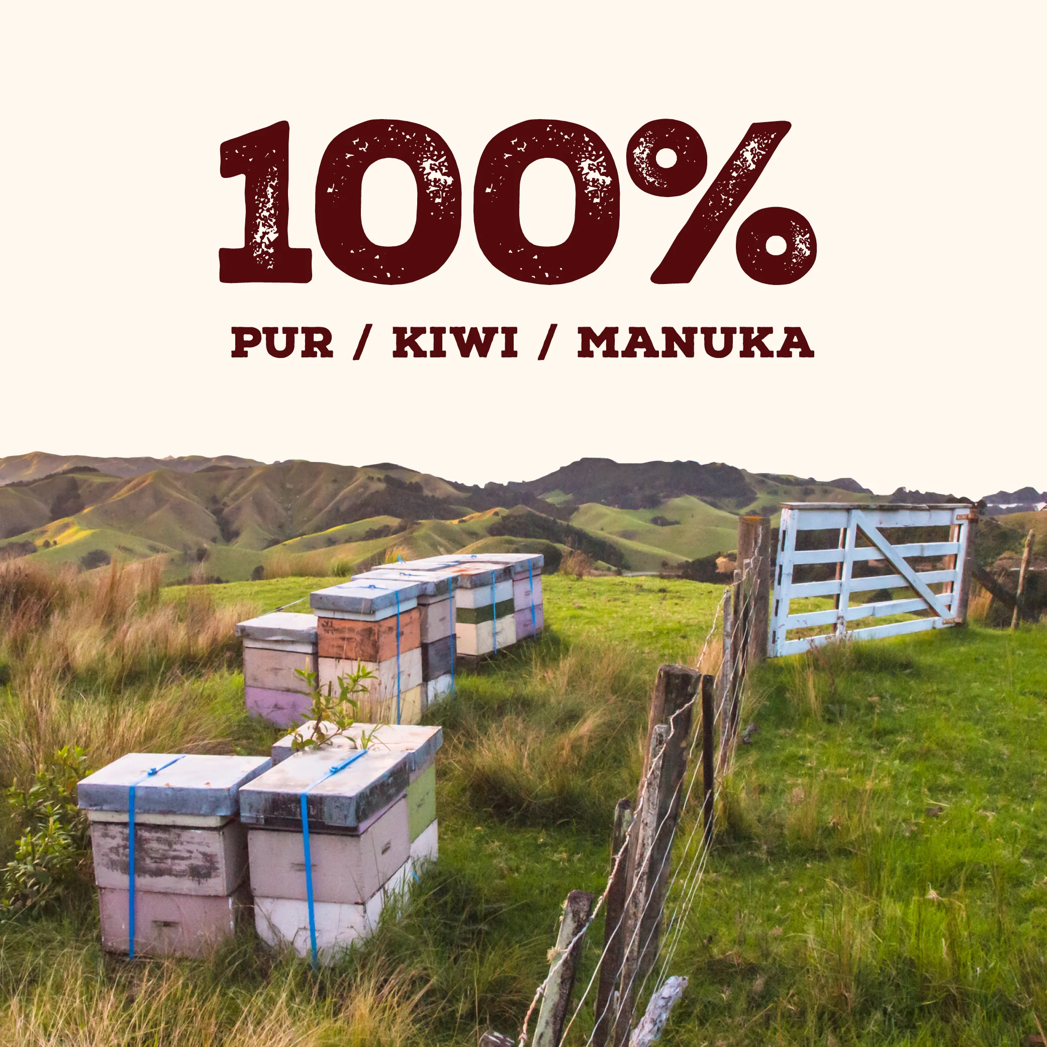 240 MGO Manuka Honig 500g - Image 12