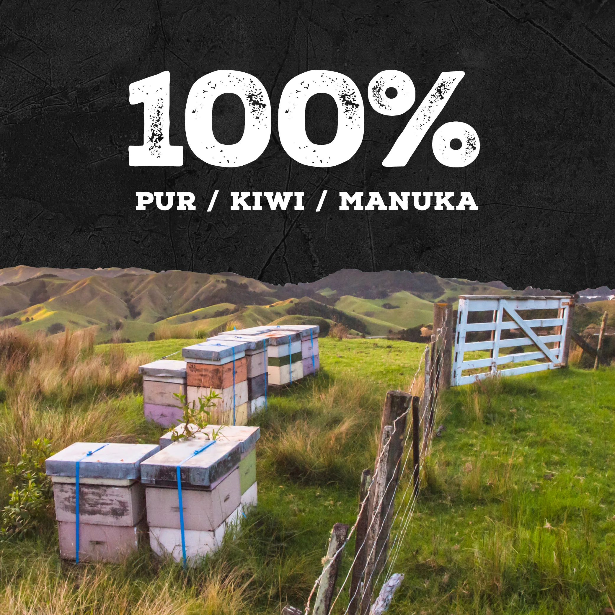 740 MGO Manuka Honig 250g - Image 12