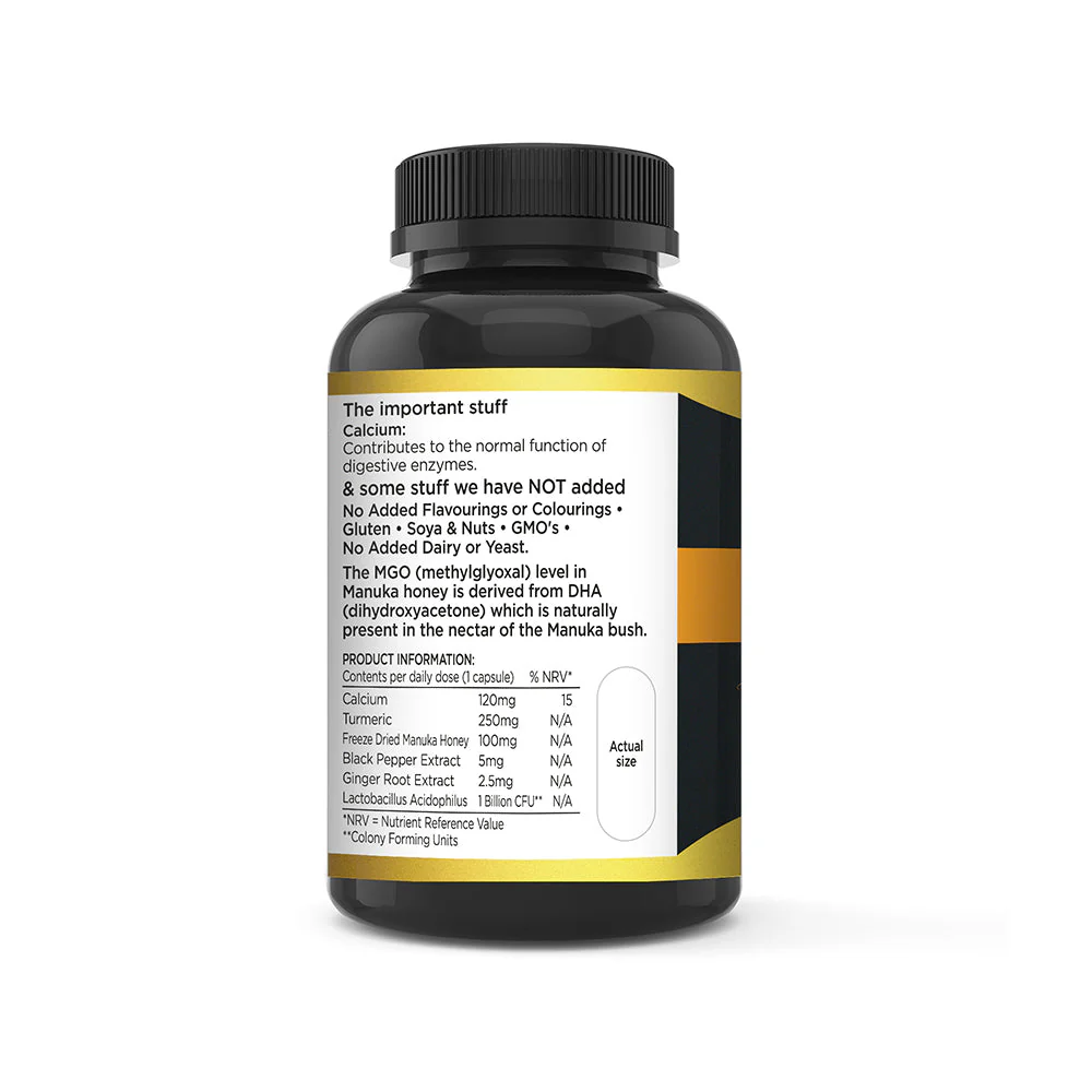 Verdauungskomplex - Image 3
